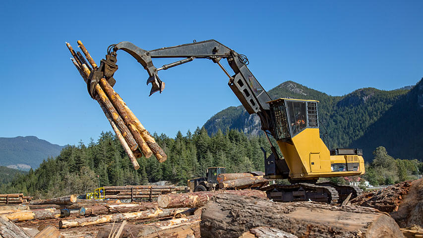 Forestry Pit and Road Construction Equipment Operator Training Program (#600100)